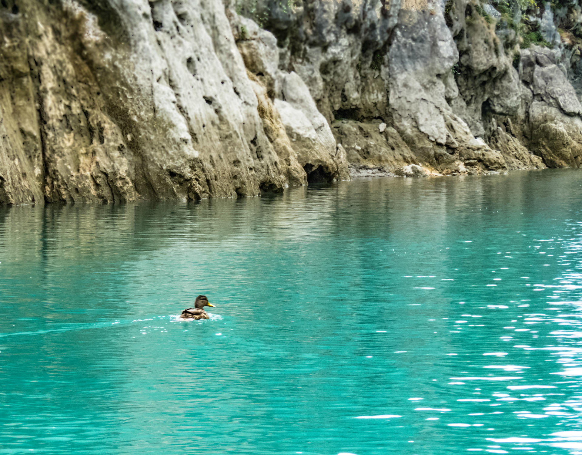 Gorges du Verdon pato