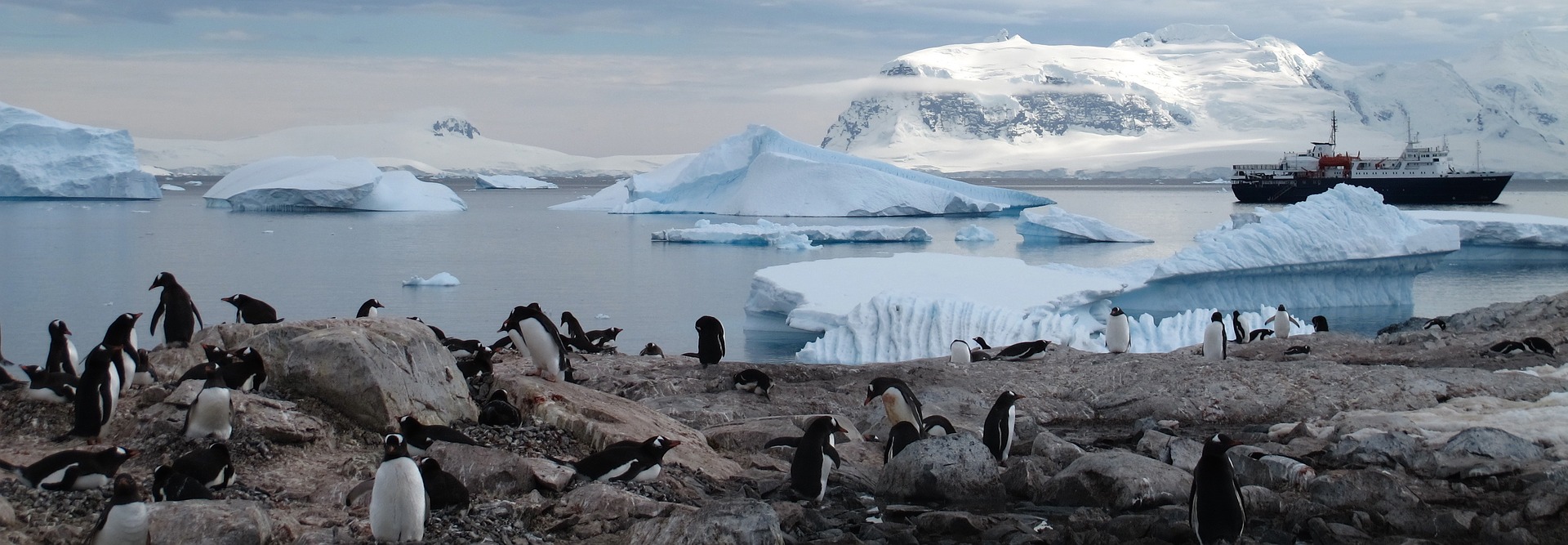 antarctica-viajar pelo mundo